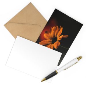 Regen Blume Postkarten