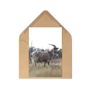 Goatcard