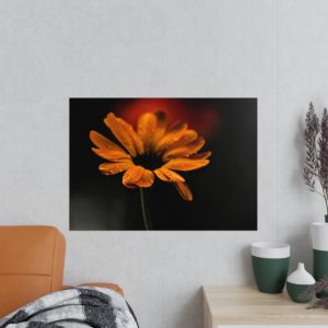 Regen Blume Poster