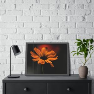 Regen Blume gerahmt